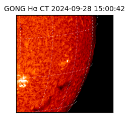 gong - 2024-09-28T15:00:42