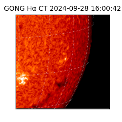 gong - 2024-09-28T16:00:42