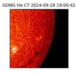 gong - 2024-09-28T19:00:42