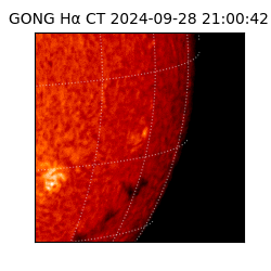 gong - 2024-09-28T21:00:42