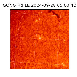 gong - 2024-09-28T05:00:42