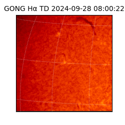 gong - 2024-09-28T08:00:22