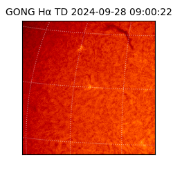 gong - 2024-09-28T09:00:22