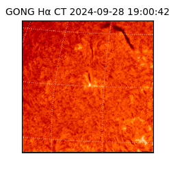 gong - 2024-09-28T19:00:42