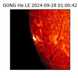 gong - 2024-09-28T01:00:42