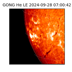 gong - 2024-09-28T07:00:42