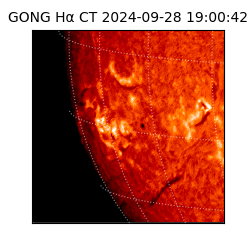 gong - 2024-09-28T19:00:42