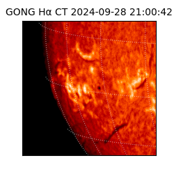 gong - 2024-09-28T21:00:42