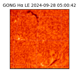 gong - 2024-09-28T05:00:42