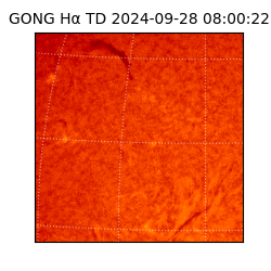 gong - 2024-09-28T08:00:22