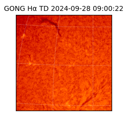 gong - 2024-09-28T09:00:22