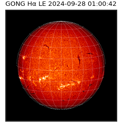 gong - 2024-09-28T01:00:42