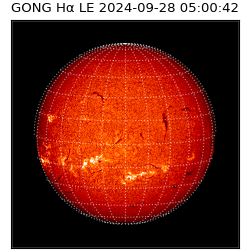 gong - 2024-09-28T05:00:42