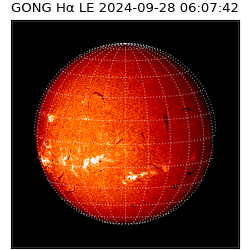 gong - 2024-09-28T06:07:42