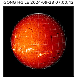 gong - 2024-09-28T07:00:42