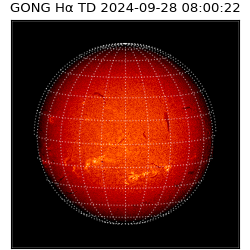 gong - 2024-09-28T08:00:22