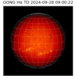 gong - 2024-09-28T09:00:22