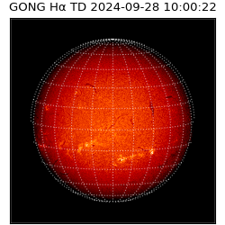 gong - 2024-09-28T10:00:22