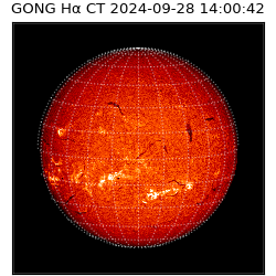 gong - 2024-09-28T14:00:42