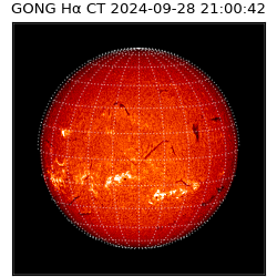 gong - 2024-09-28T21:00:42