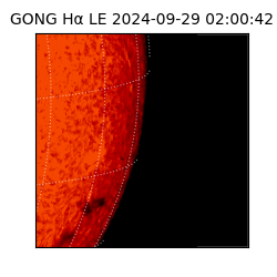 gong - 2024-09-29T02:00:42