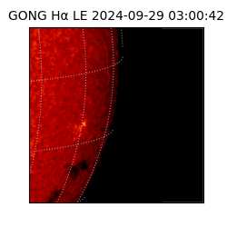 gong - 2024-09-29T03:00:42