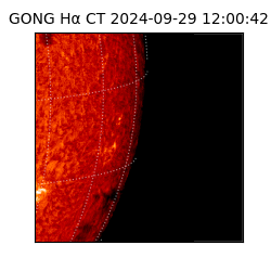 gong - 2024-09-29T12:00:42