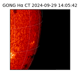 gong - 2024-09-29T14:05:42