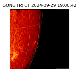 gong - 2024-09-29T19:00:42