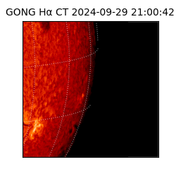 gong - 2024-09-29T21:00:42