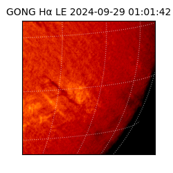 gong - 2024-09-29T01:01:42