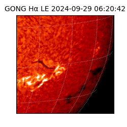 gong - 2024-09-29T06:20:42