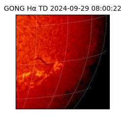 gong - 2024-09-29T08:00:22