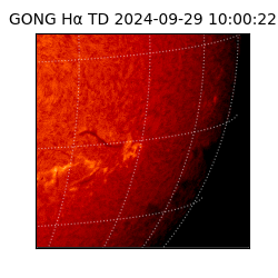 gong - 2024-09-29T10:00:22