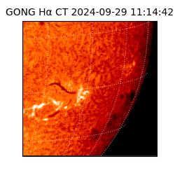 gong - 2024-09-29T11:14:42