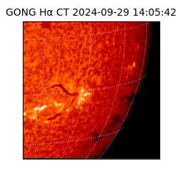 gong - 2024-09-29T14:05:42