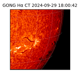 gong - 2024-09-29T18:00:42