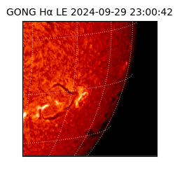 gong - 2024-09-29T23:00:42