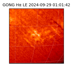 gong - 2024-09-29T01:01:42