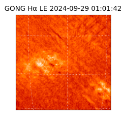 gong - 2024-09-29T01:01:42