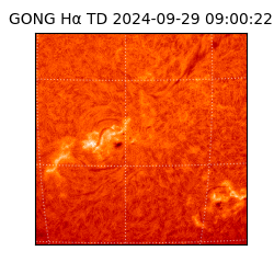 gong - 2024-09-29T09:00:22