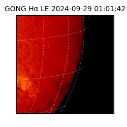 gong - 2024-09-29T01:01:42