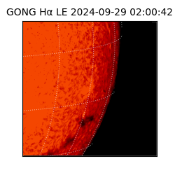 gong - 2024-09-29T02:00:42