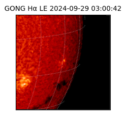 gong - 2024-09-29T03:00:42