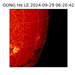 gong - 2024-09-29T06:20:42