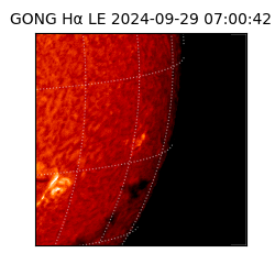 gong - 2024-09-29T07:00:42