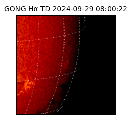 gong - 2024-09-29T08:00:22