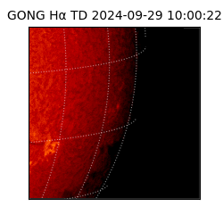 gong - 2024-09-29T10:00:22