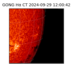 gong - 2024-09-29T12:00:42