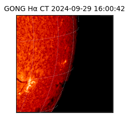 gong - 2024-09-29T16:00:42